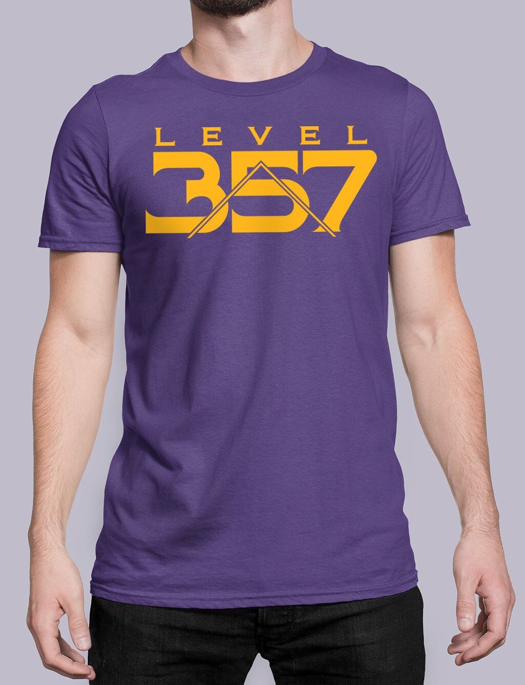Level 357 Masonic T-shirt - Image 3