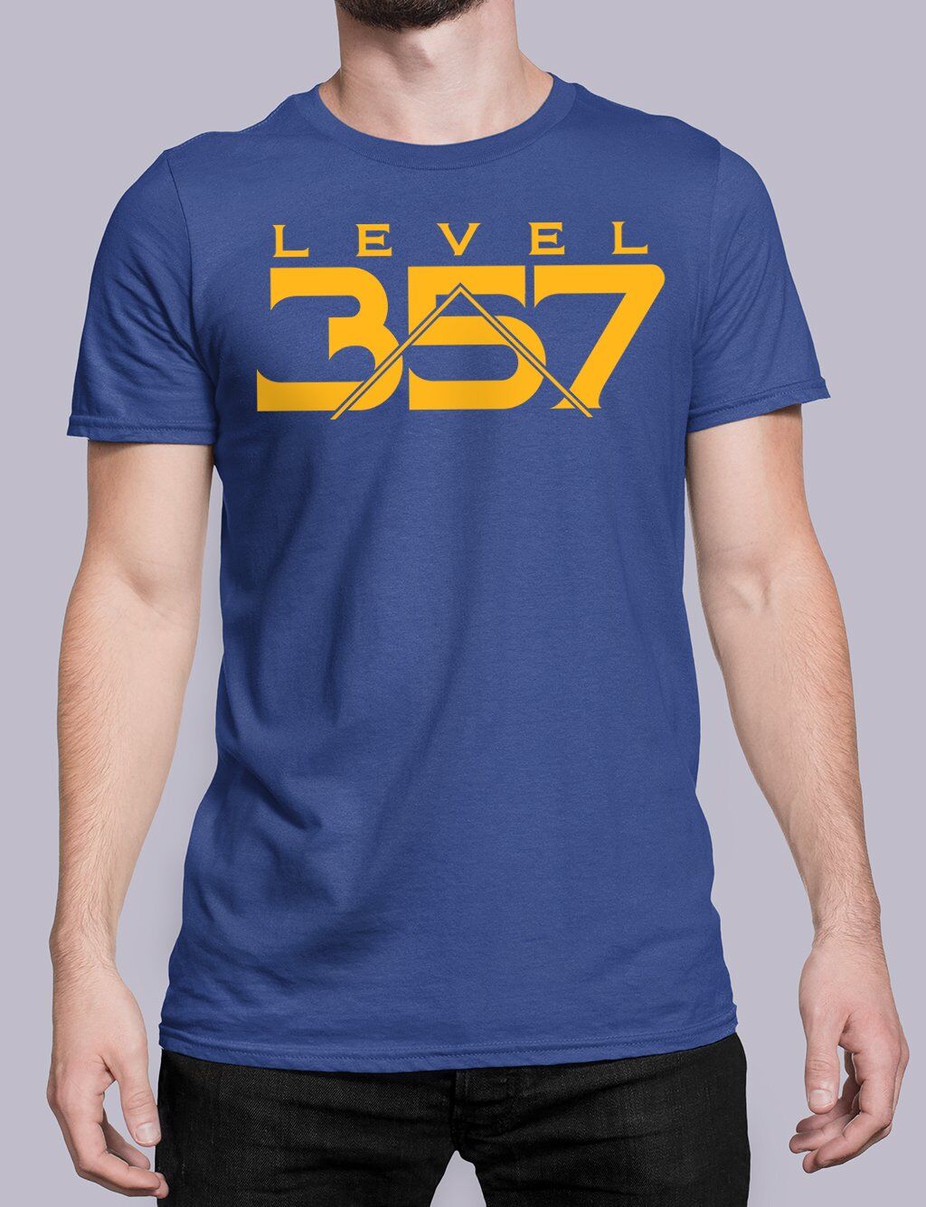 Level 357 Masonic T-shirt - Image 5