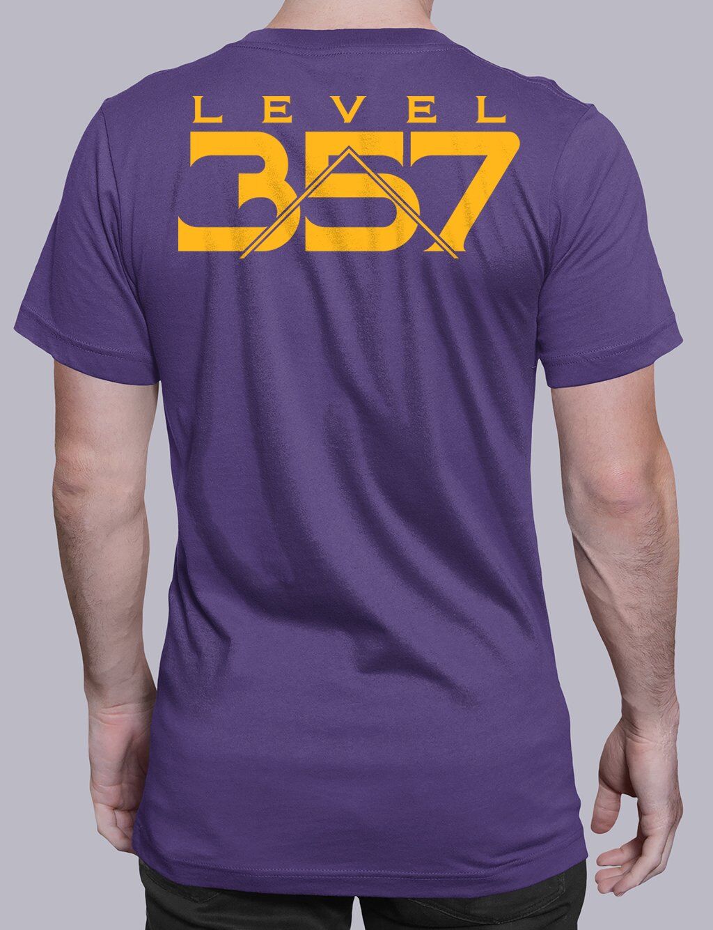 Level 357 Masonic T-Shirt - Image 3