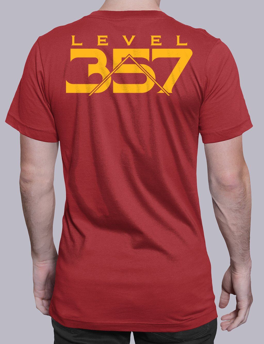 Level 357 Masonic T-Shirt - Image 4